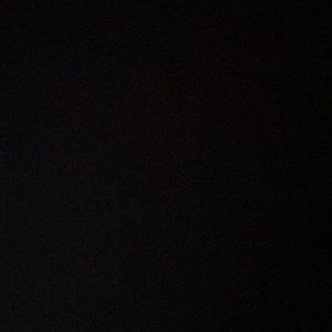 Meet your Posher, Riley